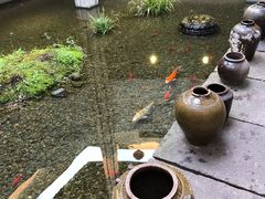 -几荷·恰似故人来(秀水广场店)