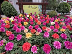 -陶然亭公园