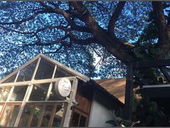门面-Cheevit Cheeva(Sirimangkalajarn)
