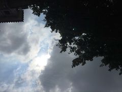 -广州都市观光巴士(粤陶巴)