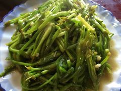 炒海菜-苍洱春饭店