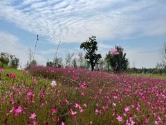 -汉长安城未央宫国家考古遗址公园