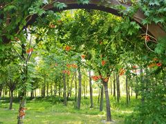 -狼山风景名胜区