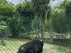 -吉隆坡雀鸟公园