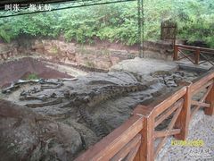 -自贡恐龙博物馆