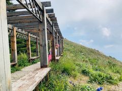 -白草畔自然风景区