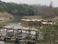 -上海长兴岛郊野公园