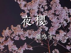 -鸡鸣寺