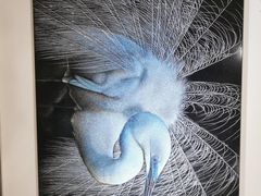 -鼓浪屿·八卦楼