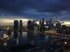 -新加坡丽思卡尔顿美年酒店