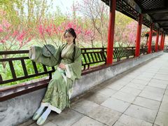 -南汇桃花村