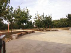 -长春公园(普阳街道)