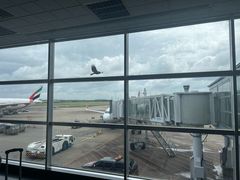 -班达拉奈克国际机场