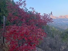 -北京凤凰岭
