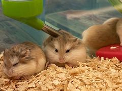 -龙猫仔乐园(惠福东路店)