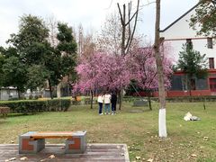 -四川大学(望江校区)