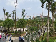 -枫香湖儿童公园