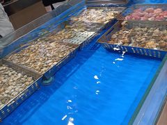 -永红源·啤酒烧烤海鲜大排档(台柳路店)