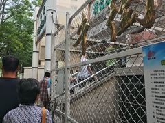 -满记烧饼(牛街东里小区一区店)
