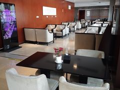 -郑州新郑国际机场T2航站楼-贵宾厅B区