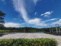 -东莞植物园