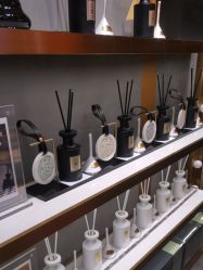 -香遇沙龙香水·调香·团建