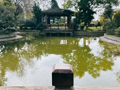 -成都安仁福朋喜来登酒店