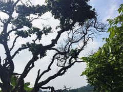 -鹤之洲湿地公园