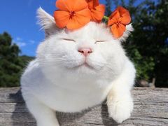 -CGV影城(源著IMAX店)