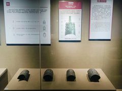 -洛阳周王城天子驾六博物馆