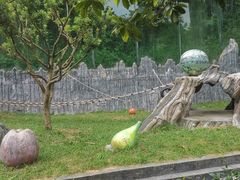 -贵州森林野生动物园
