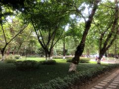 -四川大学(望江校区)