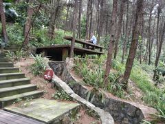 -铁山坪森林公园