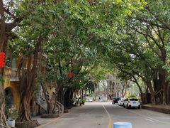 -广东紫坭糖厂(桥头路)