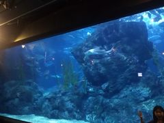 -暹罗海洋世界