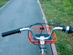 -白鹭湾湿地公园