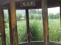 android_upload_pic-灵山莲花公园-温泉度假区