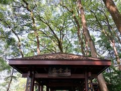 -忠山公园