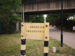 -永定河休闲森林公园