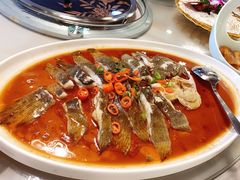 -金碧轩粤菜海鲜大酒楼