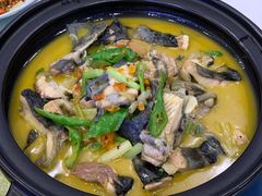 -饭怕鱼(阳光100店)