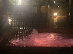 -春晖园度假酒店温泉