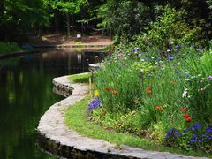 -上海共青森林公园