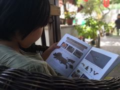 -阿巧茶庄