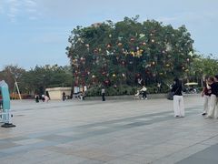 -厦门园林博览苑