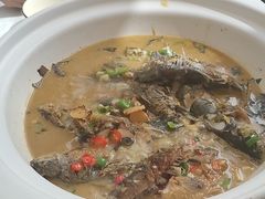 -后湖小院·乡野田园菜