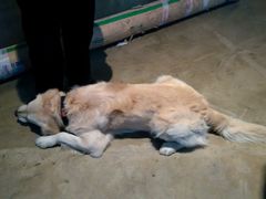 android_upload_pic-密讯馆密室逃脱&换装侦探剧(环球港旗舰店)