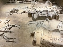 -洛阳周王城天子驾六博物馆