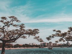 -龙舟池