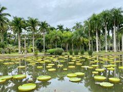 -中国科学院西双版纳热带植物园